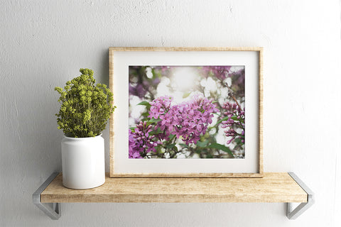 Lilac Heart Fine Art Print - april bern art & photography