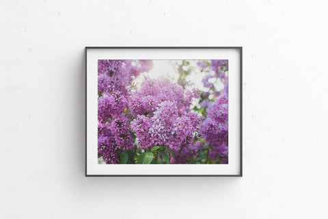 Instant Download - Spring Lilac Printable Art - april bern art & photography