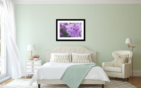 Lilac Fine Art Print - april bern art & photography