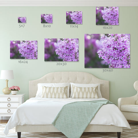 Lilac Fine Art Print - april bern art & photography