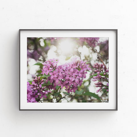 Lilac Printable Wall Art - Instant Download - april bern photography