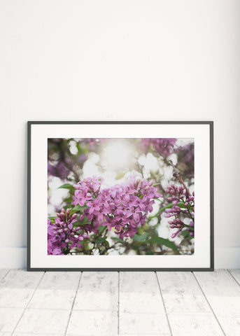 Lilac Printable Wall Art - Instant Download - april bern photography