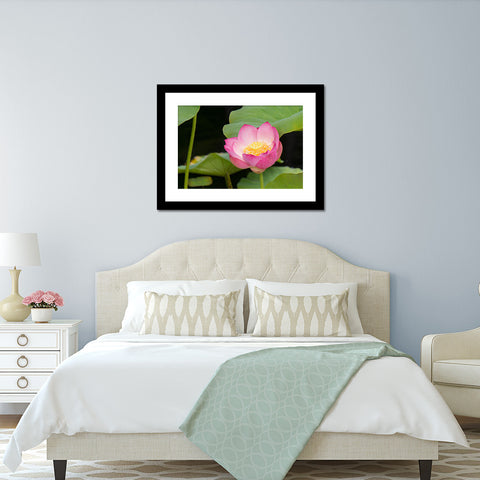 Lotus Blossom Photo - Lotus Art Print - april bern art & photography