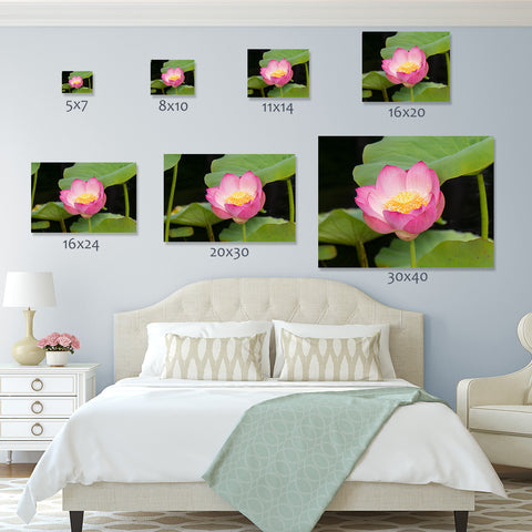 Lotus Blossom Photo - Lotus Art Print - april bern art & photography