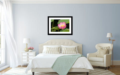 Lotus Blossom Photo - Lotus Art Print - april bern art & photography