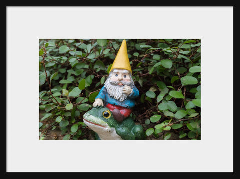 Whimsical Art - Garden Gnome Fine Art Print - april bern art & photography