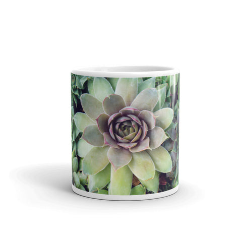 Succulent Garden Coffee Mug - april bern photography