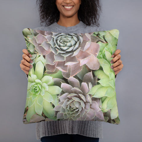Succulent Garden Throw Pillow - april bern photography