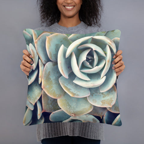 Succulent Pillow - april bern photography