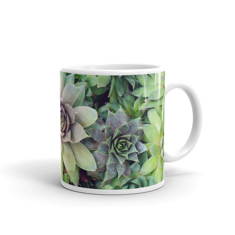 Succulent Garden Coffee Mug - april bern photography