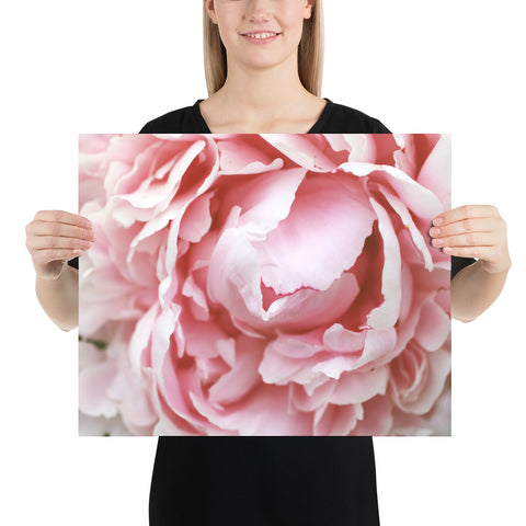 Poster - april bern photography
