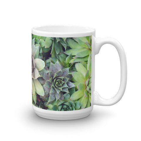 Succulent Garden Coffee Mug - april bern photography