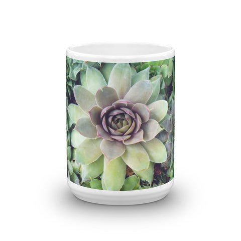 Succulent Garden Coffee Mug - april bern photography