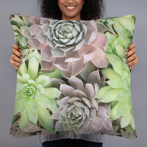 Succulent Garden Throw Pillow - april bern photography