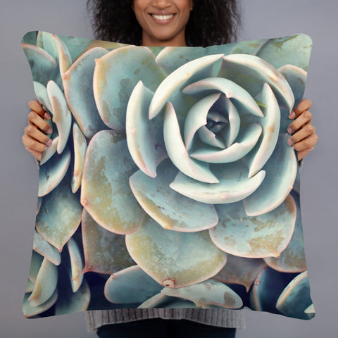 Succulent Pillow - april bern photography