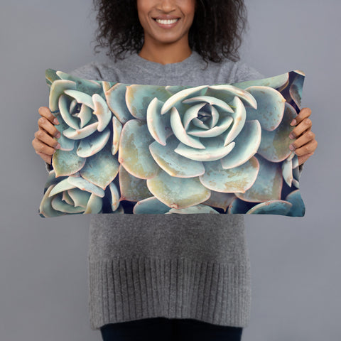 Succulent Pillow - april bern photography