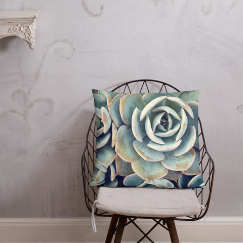 Succulent Pillow - april bern photography