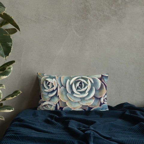 Succulent Pillow - april bern photography