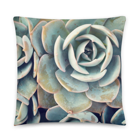 Succulent Pillow - april bern photography