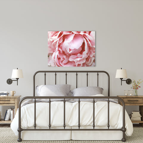 Peony Gallery Wrap Canvas - Ready to Hand Floral Canvas Art - april bern art & photography