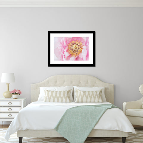 Peony Art Print - Peony Home Decor - april bern art & photography