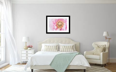 Peony Art Print - Peony Home Decor - april bern art & photography
