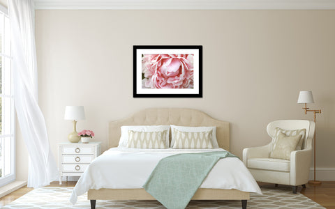Pink Peony Fine Art Photography - april bern art & photography