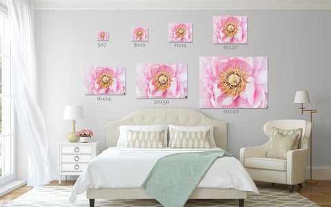 Peony Art Print - Peony Home Decor - april bern art & photography