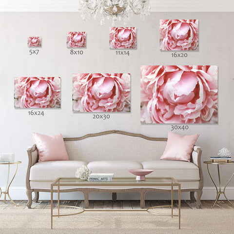 Peony Gallery Wrap Canvas - Ready to Hand Floral Canvas Art - april bern art & photography