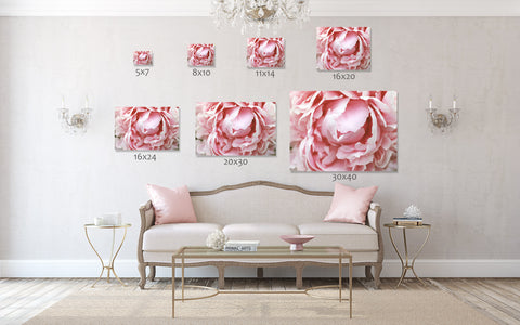 Peony Gallery Wrap Canvas - Ready to Hand Floral Canvas Art - april bern art & photography