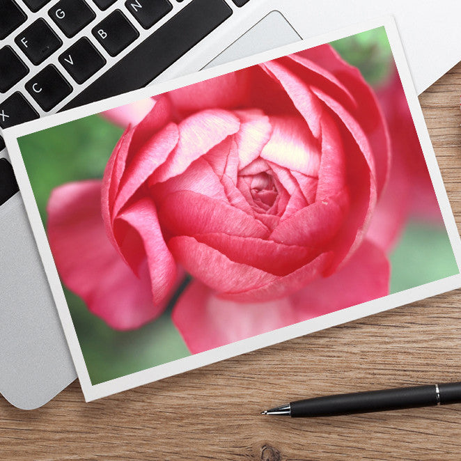 Pink Peony Photo Notecard, Floral Stationary - april bern art & photography