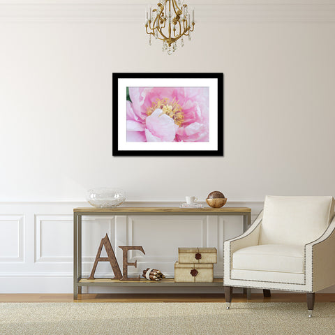 Pink Peony Print - Peony Photography - april bern art & photography