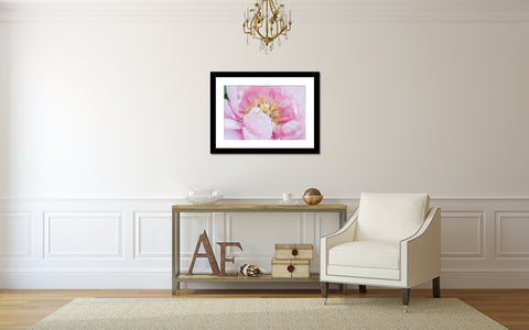 Pink Peony Print - Peony Photography - april bern art & photography