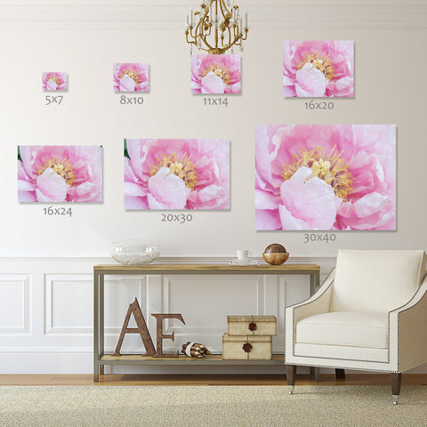 Pink Peony Print - Peony Photography - april bern art & photography