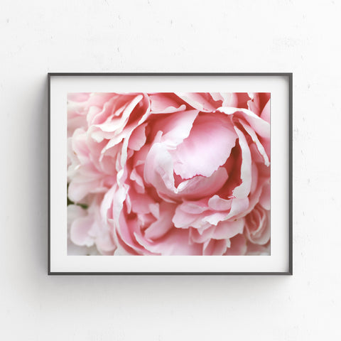 Pink Peony Printable Wall Art - april bern photography