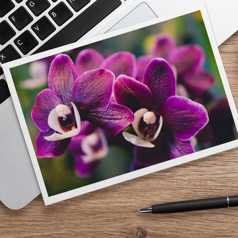 Purple Orchid Photo Notecard, Orchid Stationary - april bern art & photography