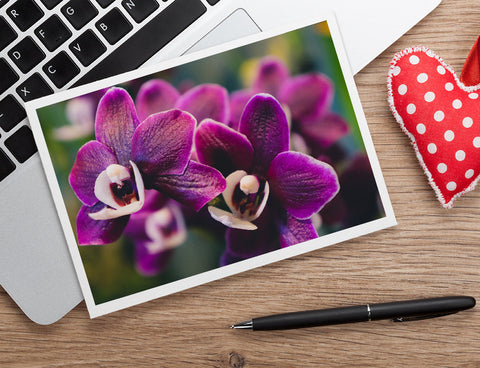 Purple Orchid Photo Notecard, Orchid Stationary - april bern art & photography