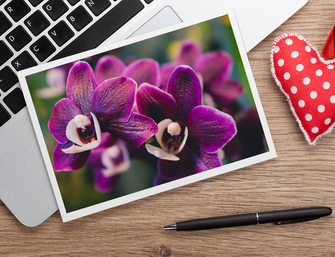 Purple Orchid Photo Notecard, Orchid Stationary - april bern art & photography