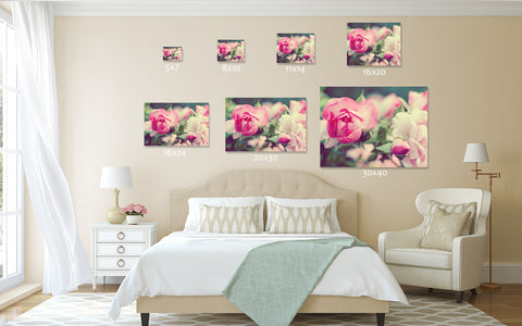 Shabby Chic Rose Fine Art Photography - april bern art & photography