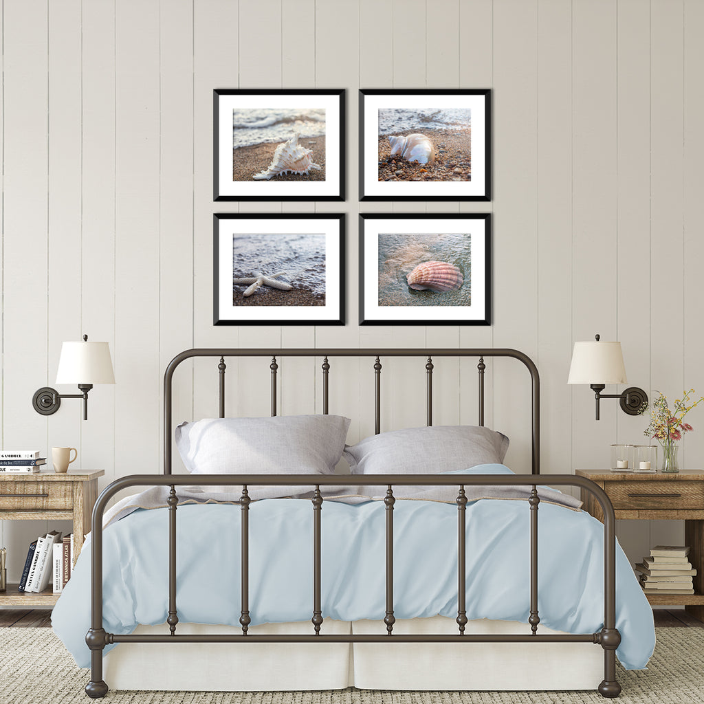 Seashells by the Seashore - Set of 4 Shell Prints - april bern art & photography