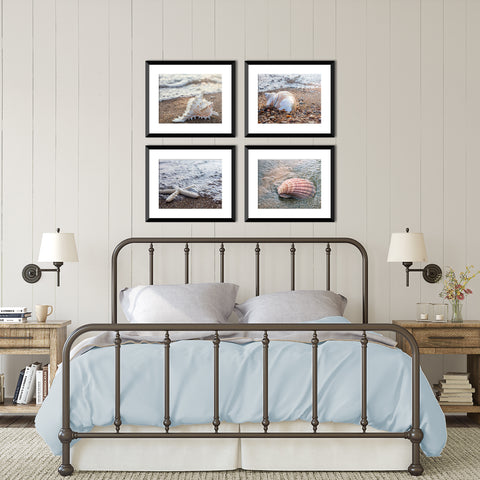 Seashells by the Seashore - Set of 4 Shell Prints - april bern art & photography
