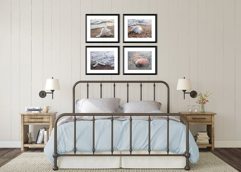 Seashells by the Seashore - Set of 4 Shell Prints - april bern art & photography