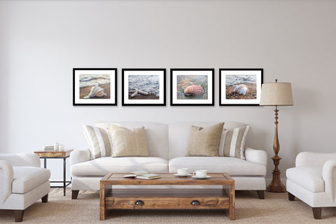 Seashells by the Seashore - Set of 4 Shell Prints - april bern art & photography