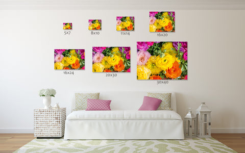 Ranunculus Fine Art Photography - april bern art & photography
