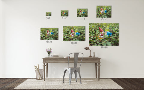 Gnome Kisses - Garden Gnome Print - april bern art & photography
