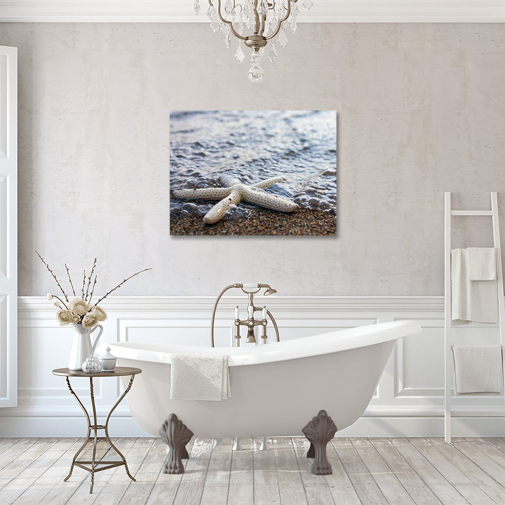 Starfish Gallery Wrapped Canvas, Ready to Hang Canvas Art - april bern art & photography