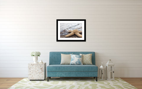 Starfish Art Print, Beach Decor - april bern art & photography
