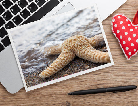 Starfish Photo Note Card - Blank Seashell Card - april bern art & photography