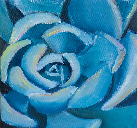 Succulent Painting - 6x6 Original Oil Painting - april bern art & photography