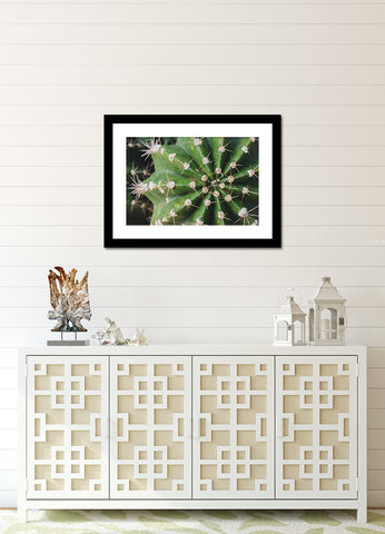 Cactus Fine Art Print - Southwest Home Decor - april bern art & photography